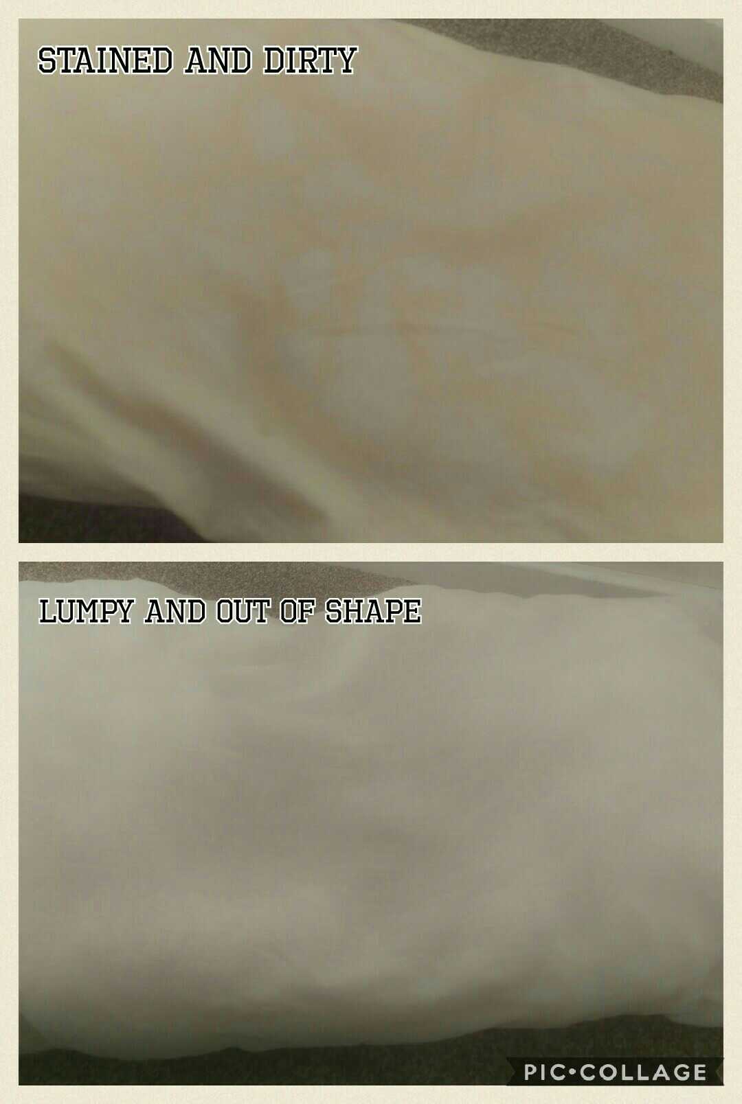 neck solutions pillow