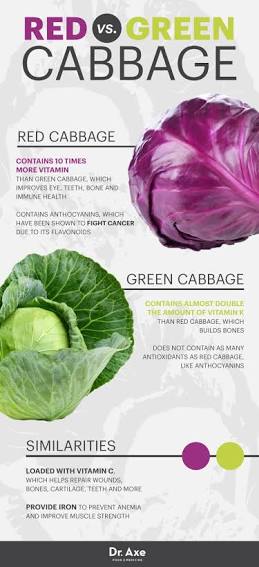 fermented cabbage juice